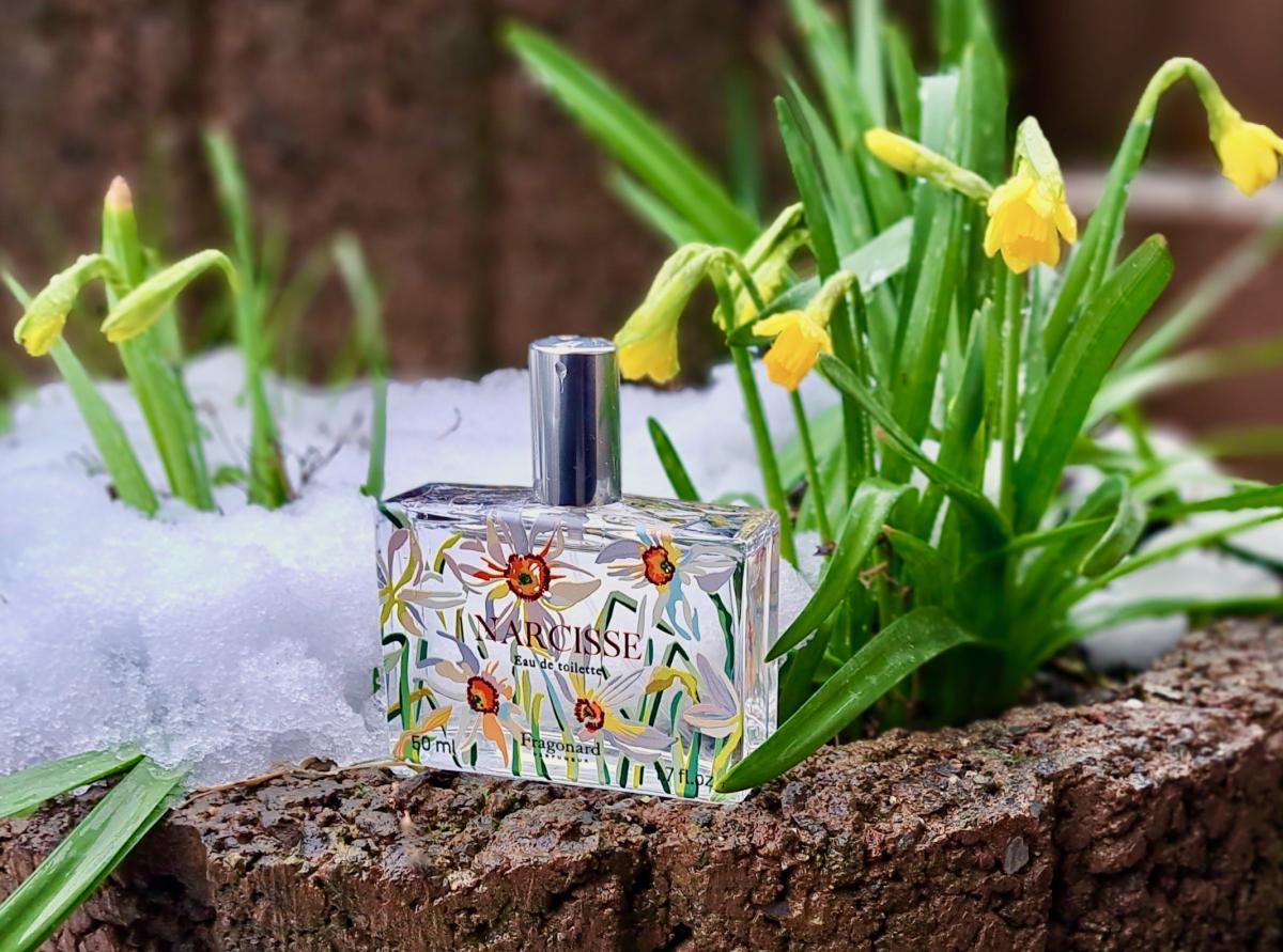 تصویر عطر نارسیس فراگونار