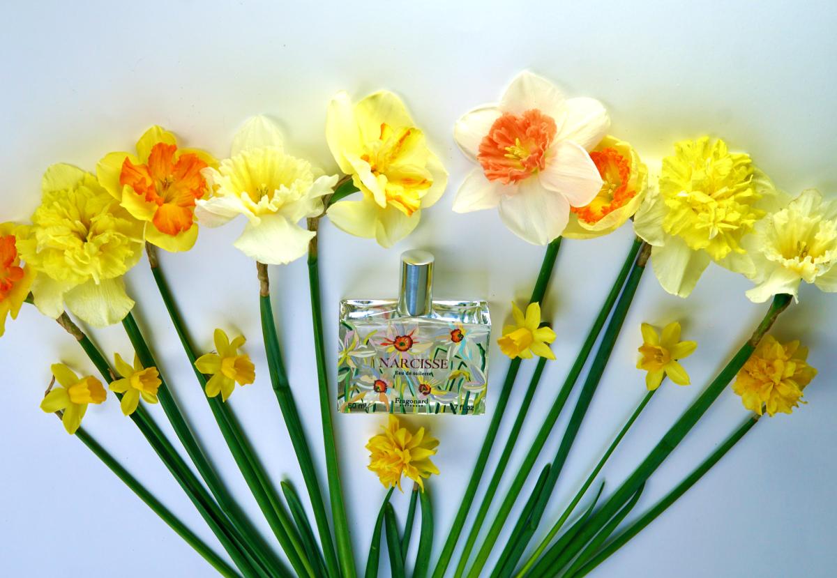 تصویر عطر نارسیس فراگونار