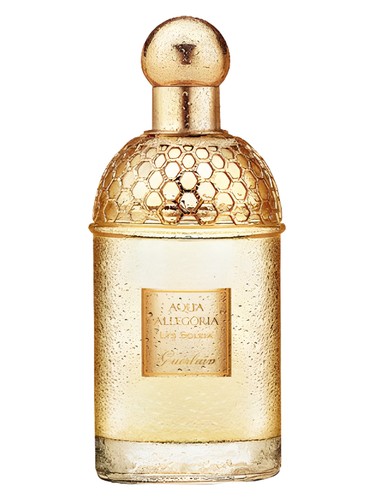 تصویر عطر آکوا آلگوریا لیز سولیا گرلن