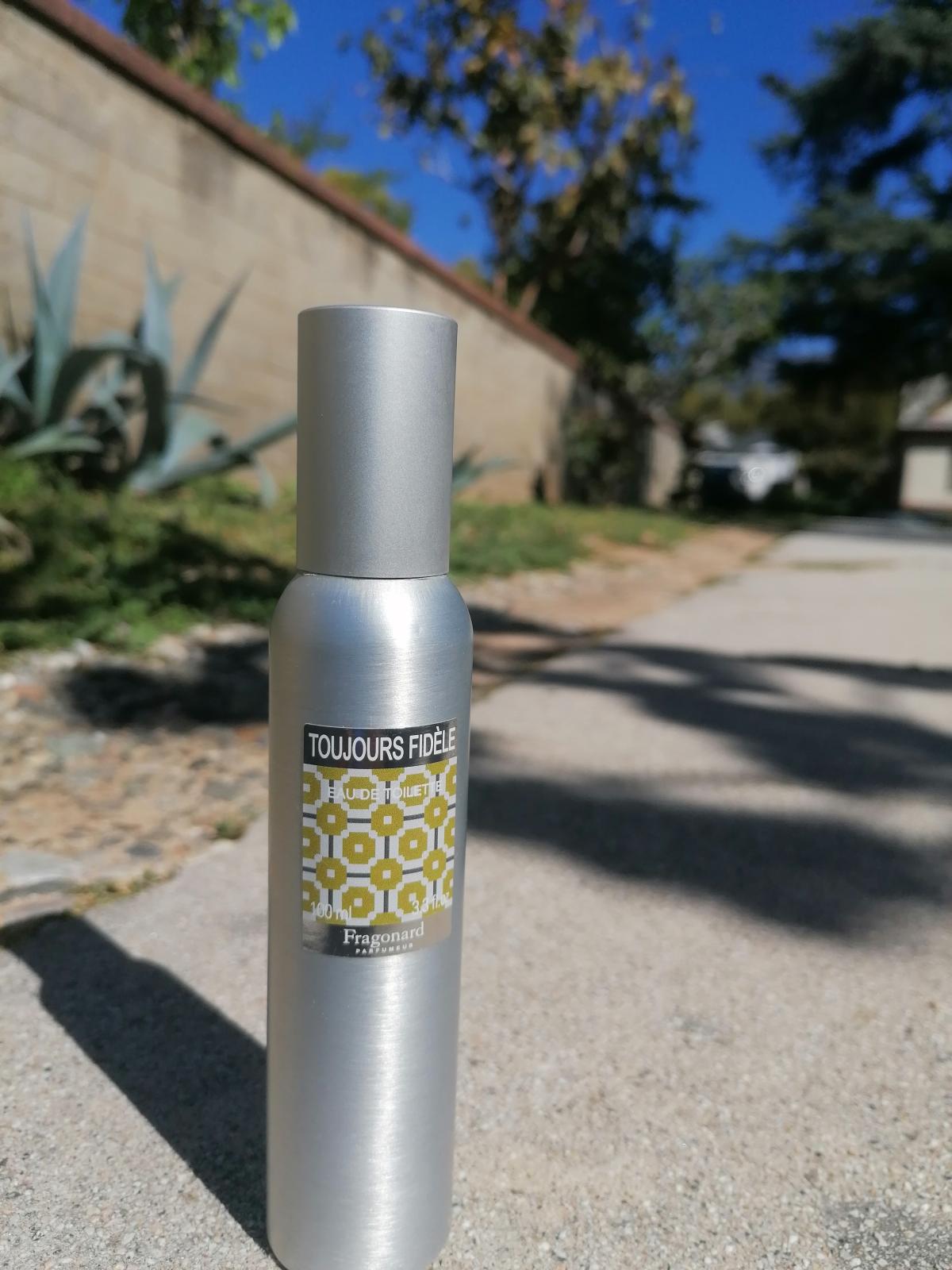 تصویر عطر توجور فیدل فراگونار