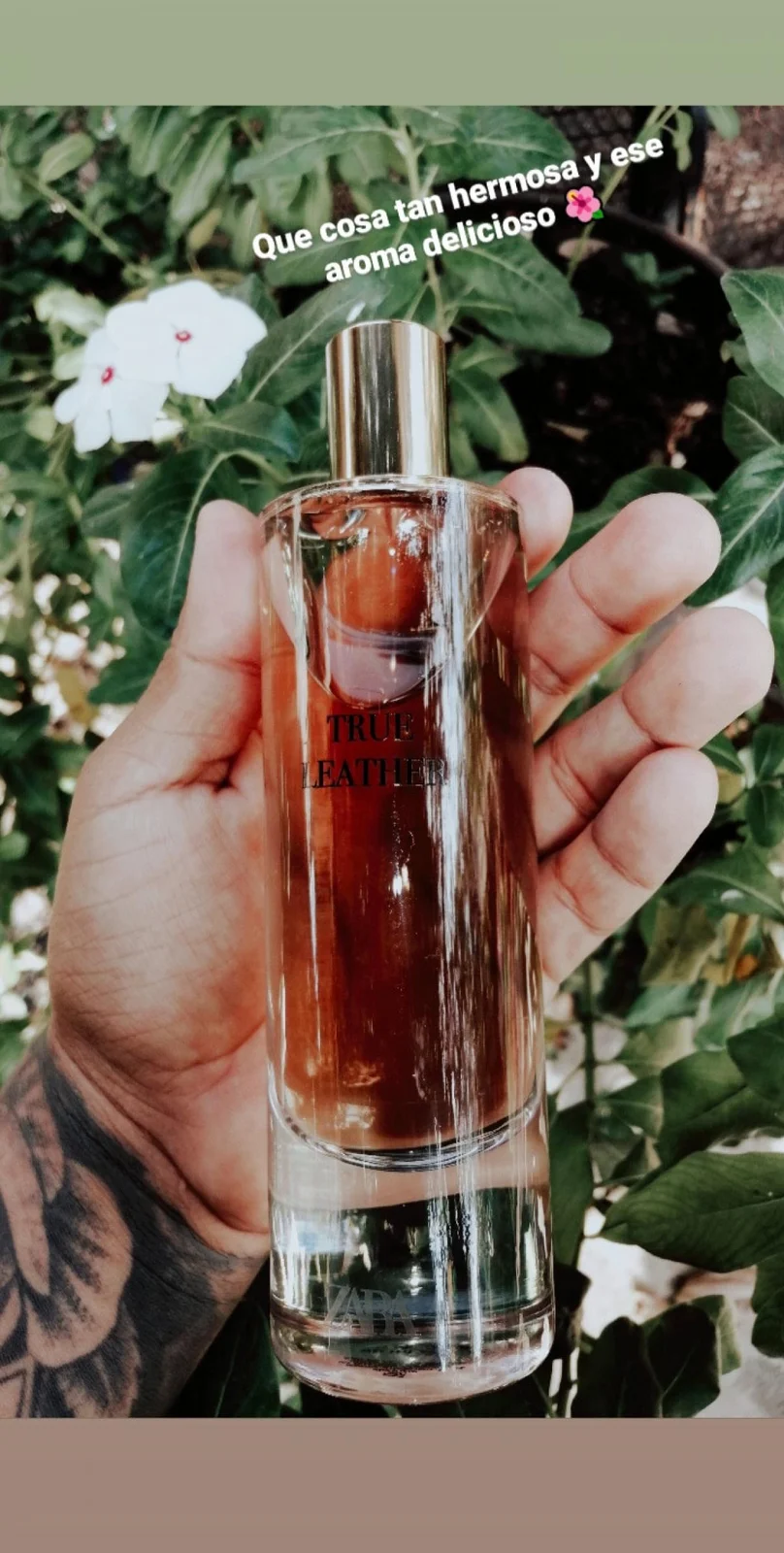 تصویر عطر ترو لدر فور هیم زارا