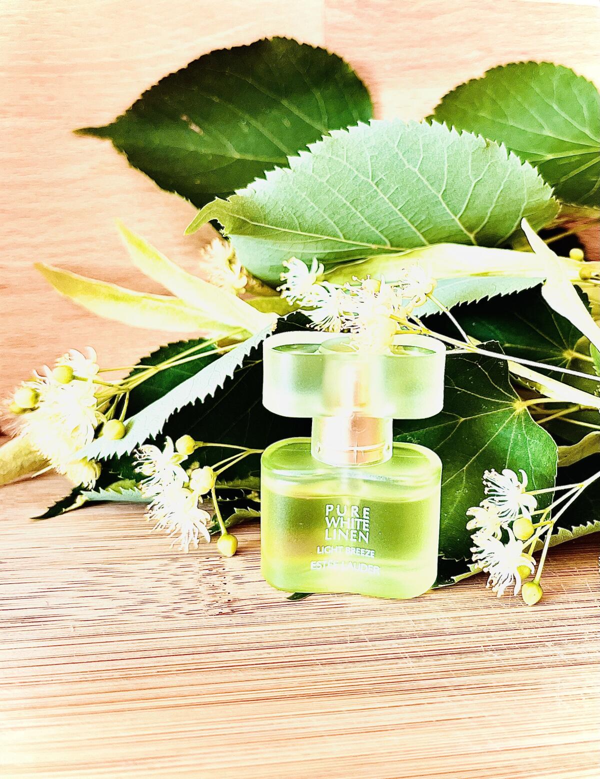 تصویر عطر پیور وایت لینن لایت بریز استی لودر