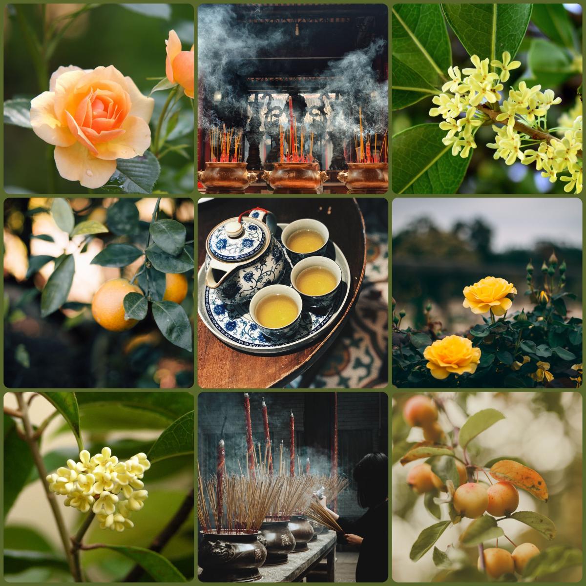 تصویر عطر اِکستره د اوسمانتوس فیتسجِرِلد اند گیلن