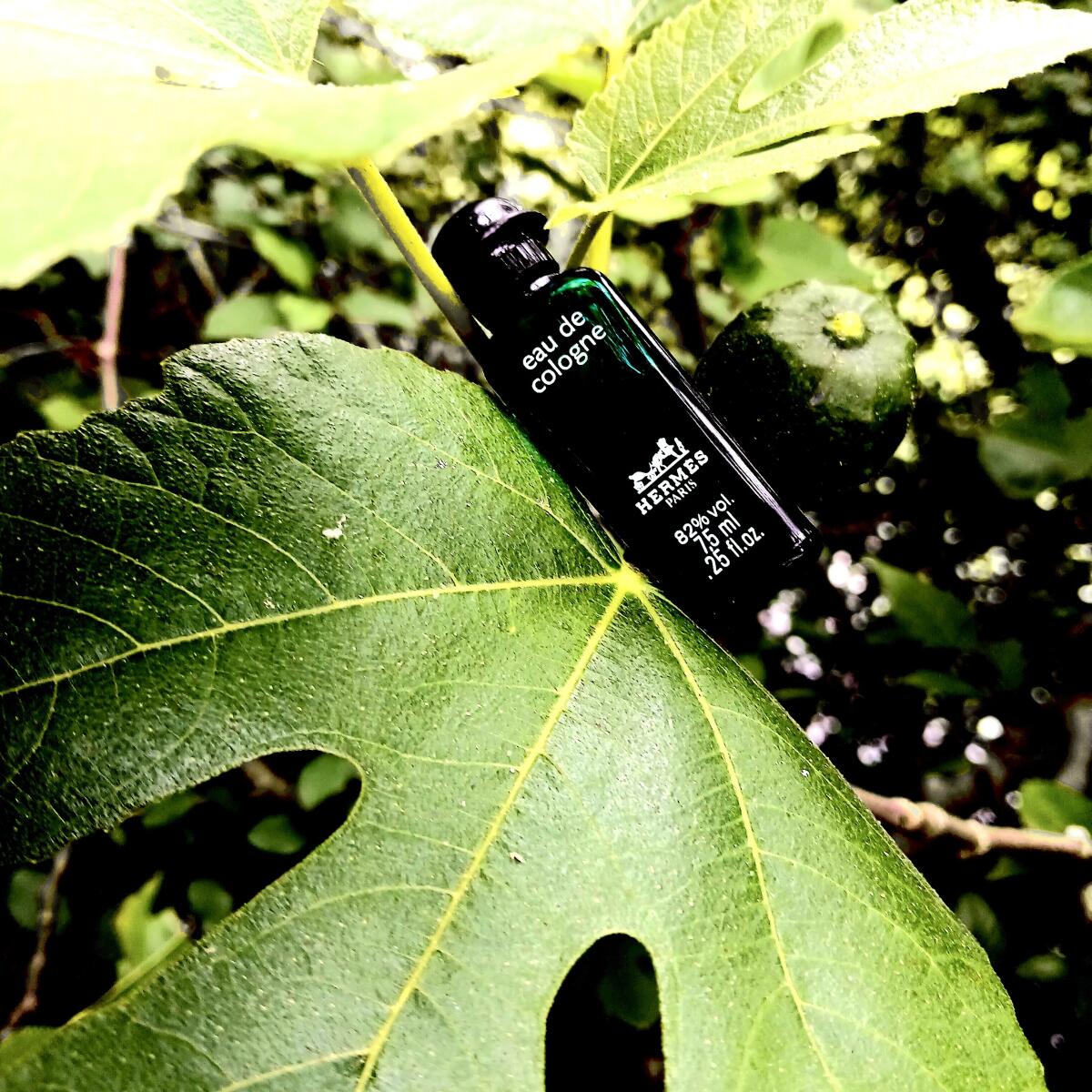 تصویر عطر اُ دو کُلُن حِرمِس هرمس