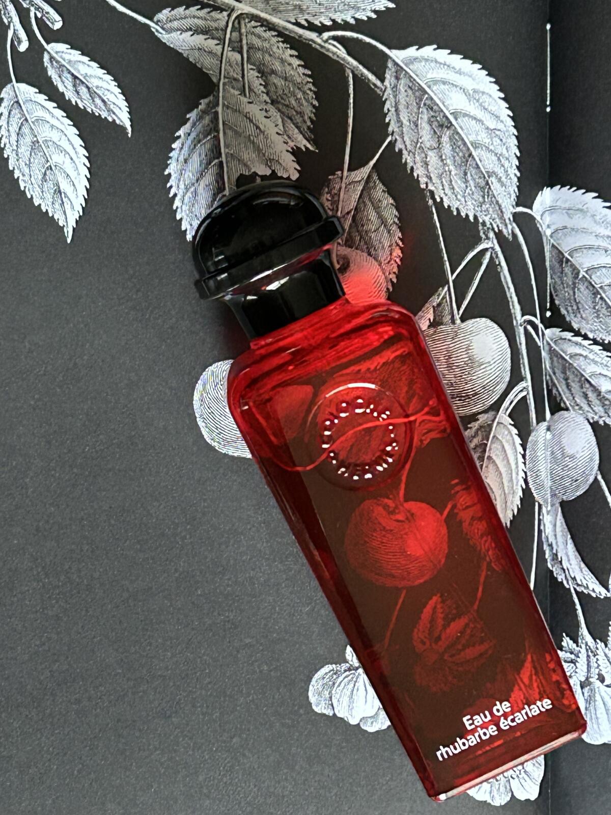 تصویر عطر اُ دو روبارب اِکارلات هرمس