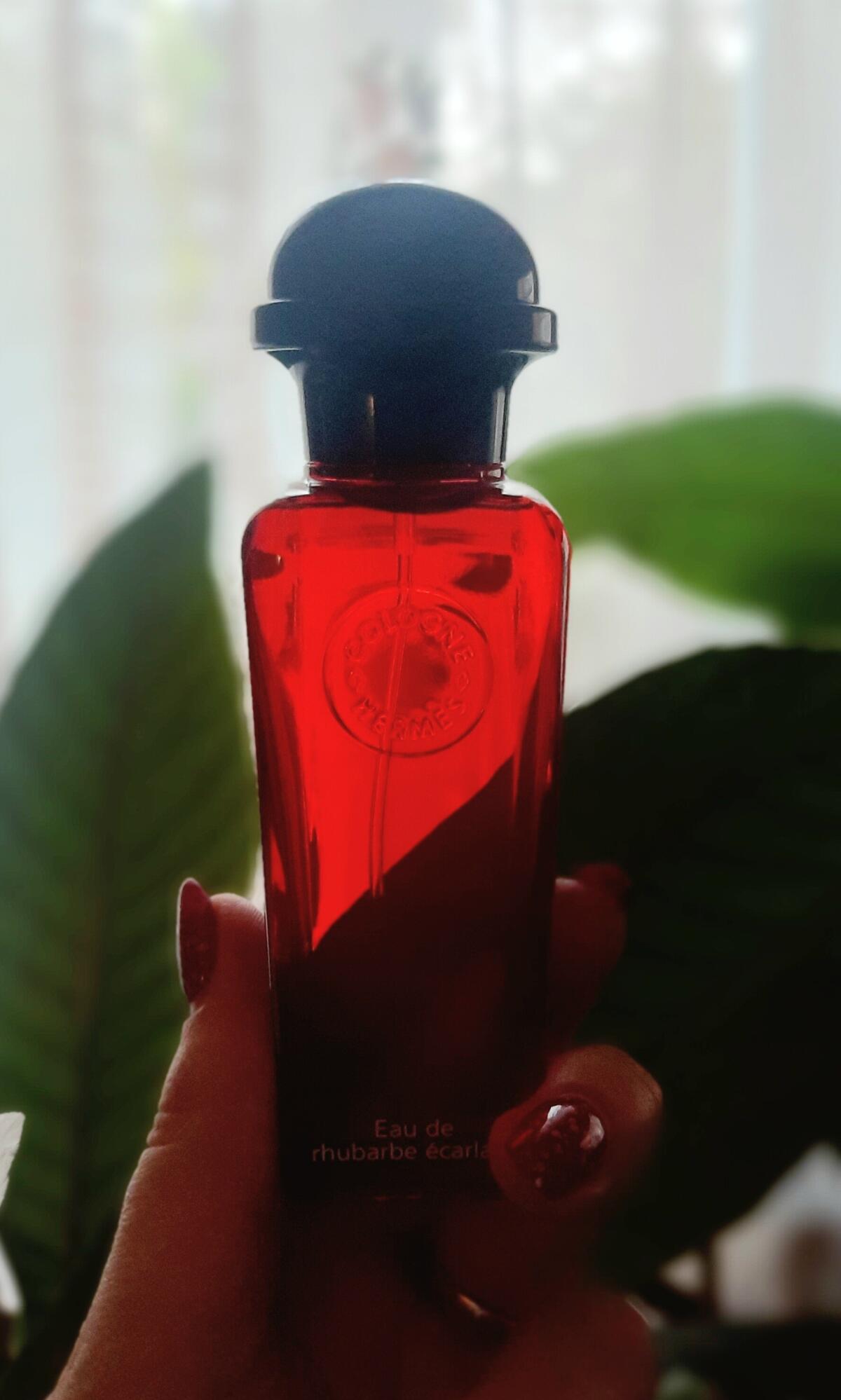 تصویر عطر اُ دو روبارب اِکارلات هرمس