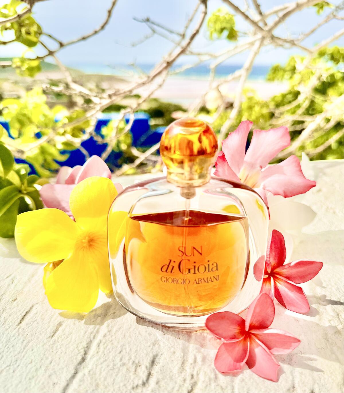 تصویر عطر سان دی جیویا جورجیو آرمانی