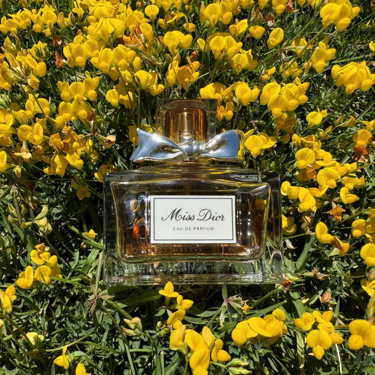 تصویر عطر میس دیور ادو پرفیوم