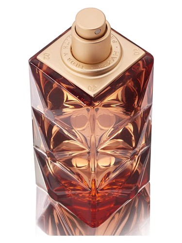 تصویر عطر مموار دون پالمری ۱۷ فوا