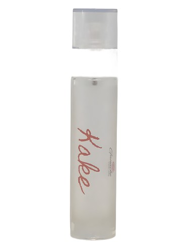 تصویر عطر کیک گاناش پرفیومز