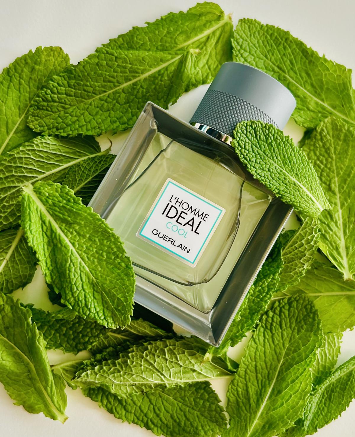 تصویر عطر لوم آیدئال کول گرلن
