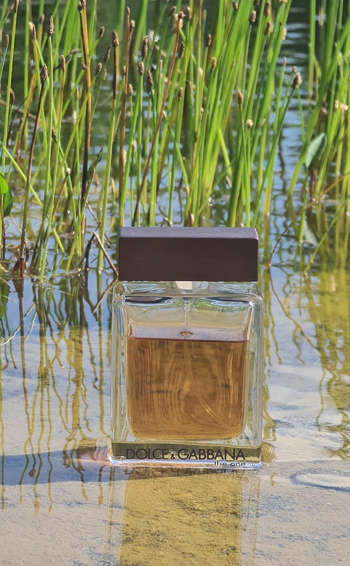 تصویر عطر دی وان فور من دولچه اند گابانا