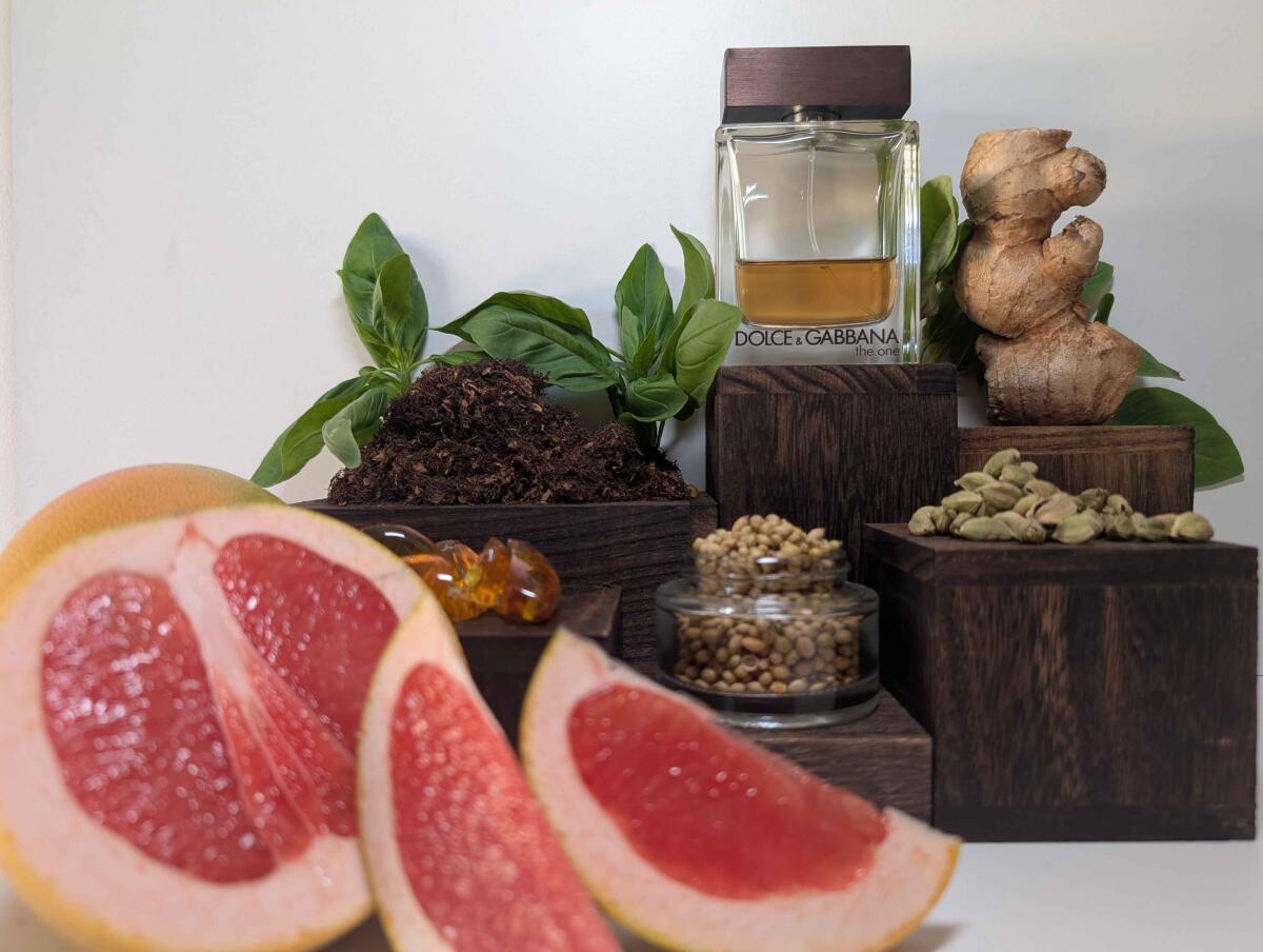 تصویر عطر دی وان فور من دولچه اند گابانا