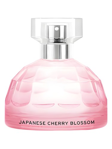 تصویر عطر ژاپنی چری بلوسم بادی شاپ