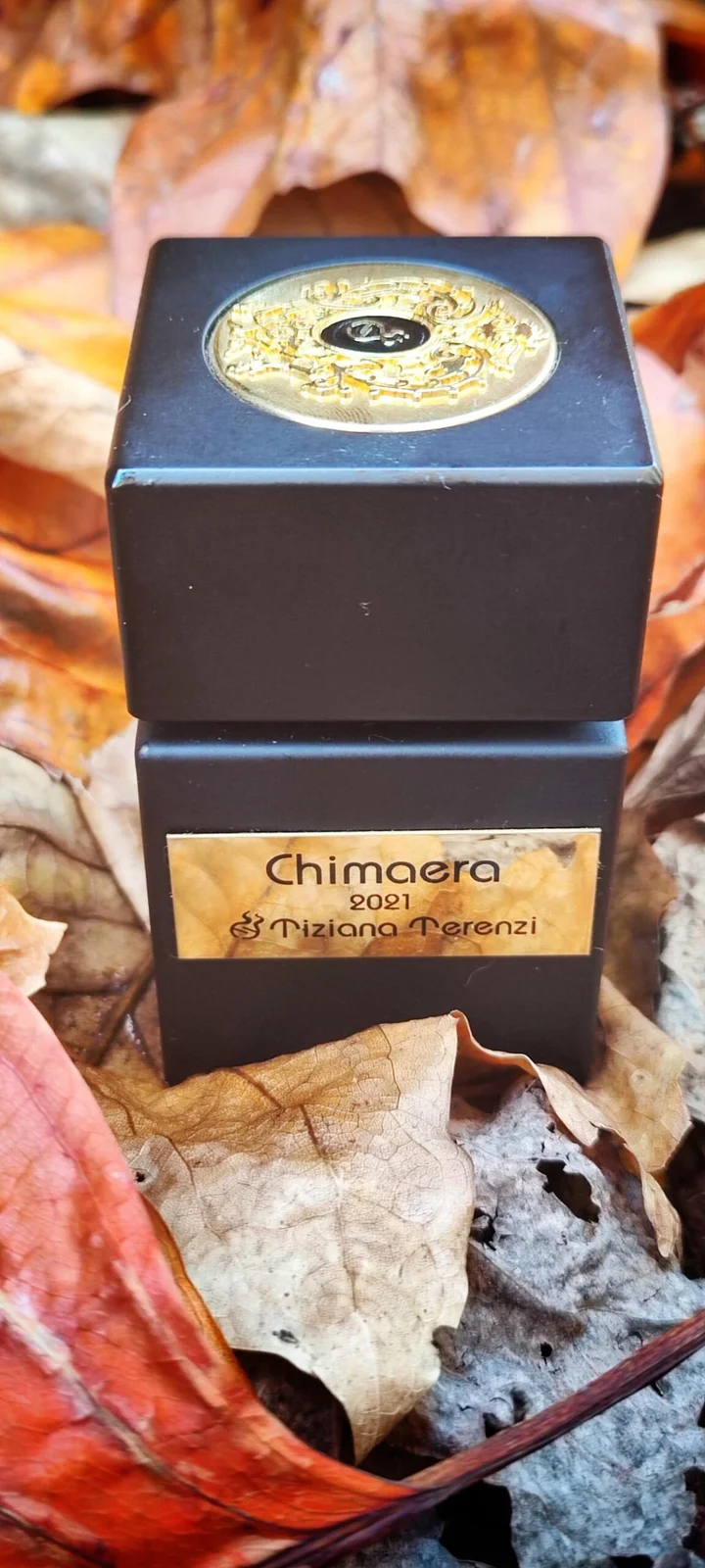 تصویر عطر کیمرا تیزیانا ترنزی