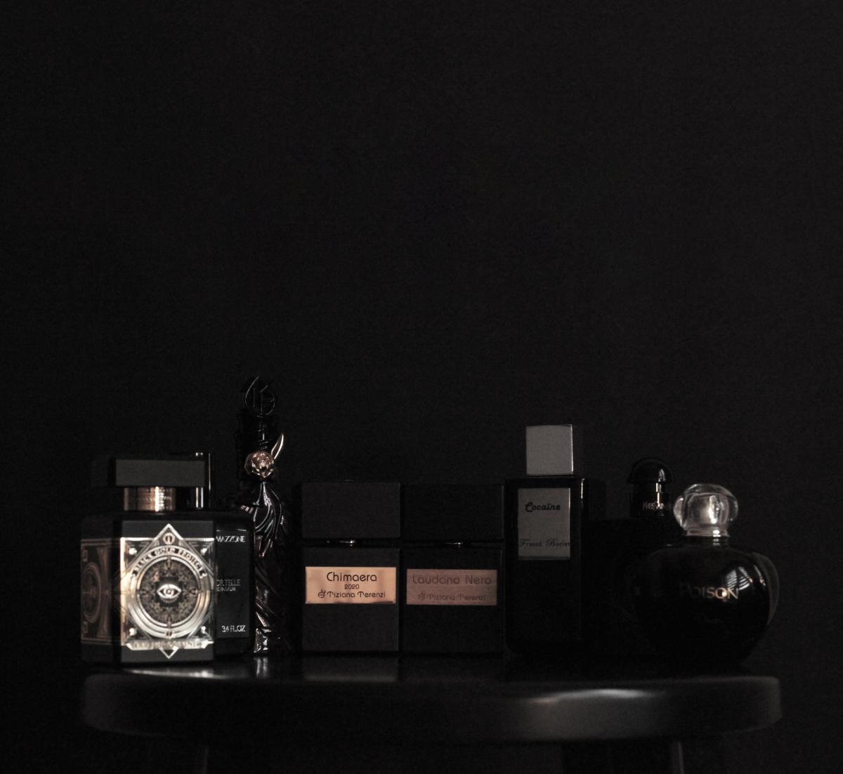 تصویر عطر کیمرا تیزیانا ترنزی