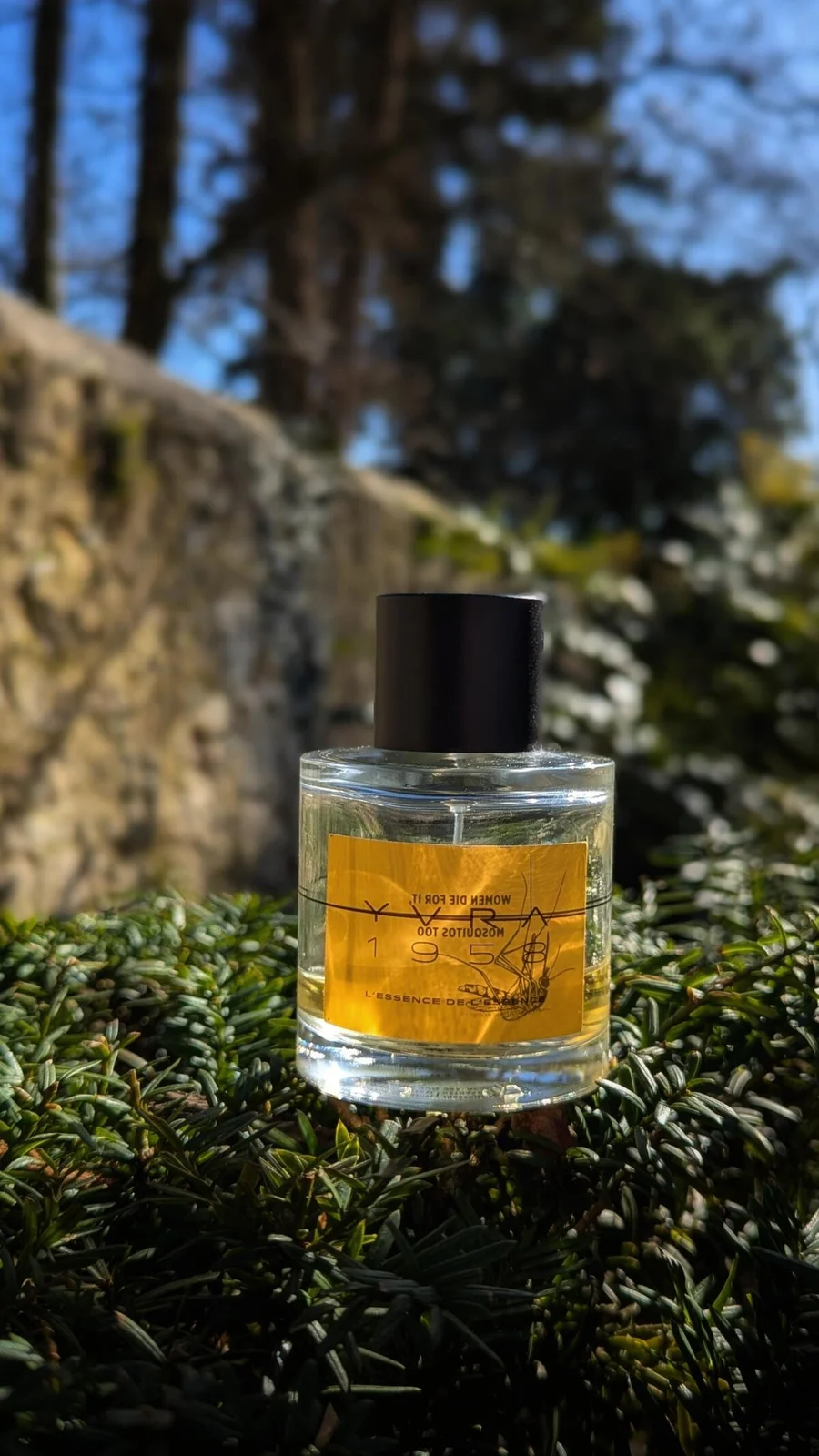 تصویر عطر ل اسنس د لاسنس یورا