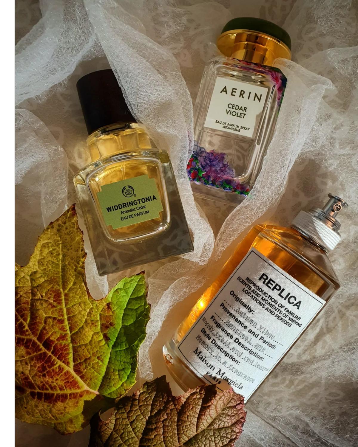 تصویر عطر ویدرینگتونیا بادی شاپ