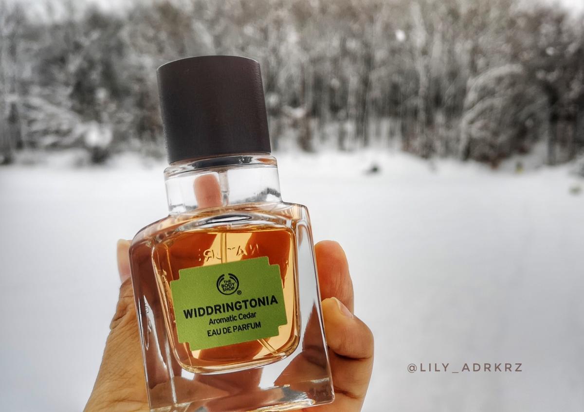 تصویر عطر ویدرینگتونیا بادی شاپ