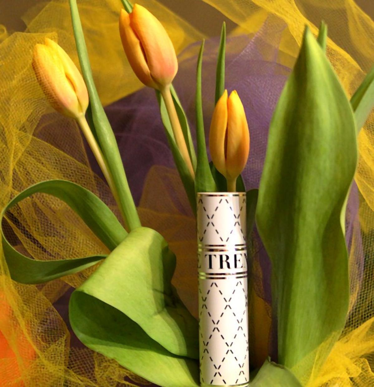 تصویر عطر نو سیکس بو دیپ دِ ترند بای هاوس آو سیاژ