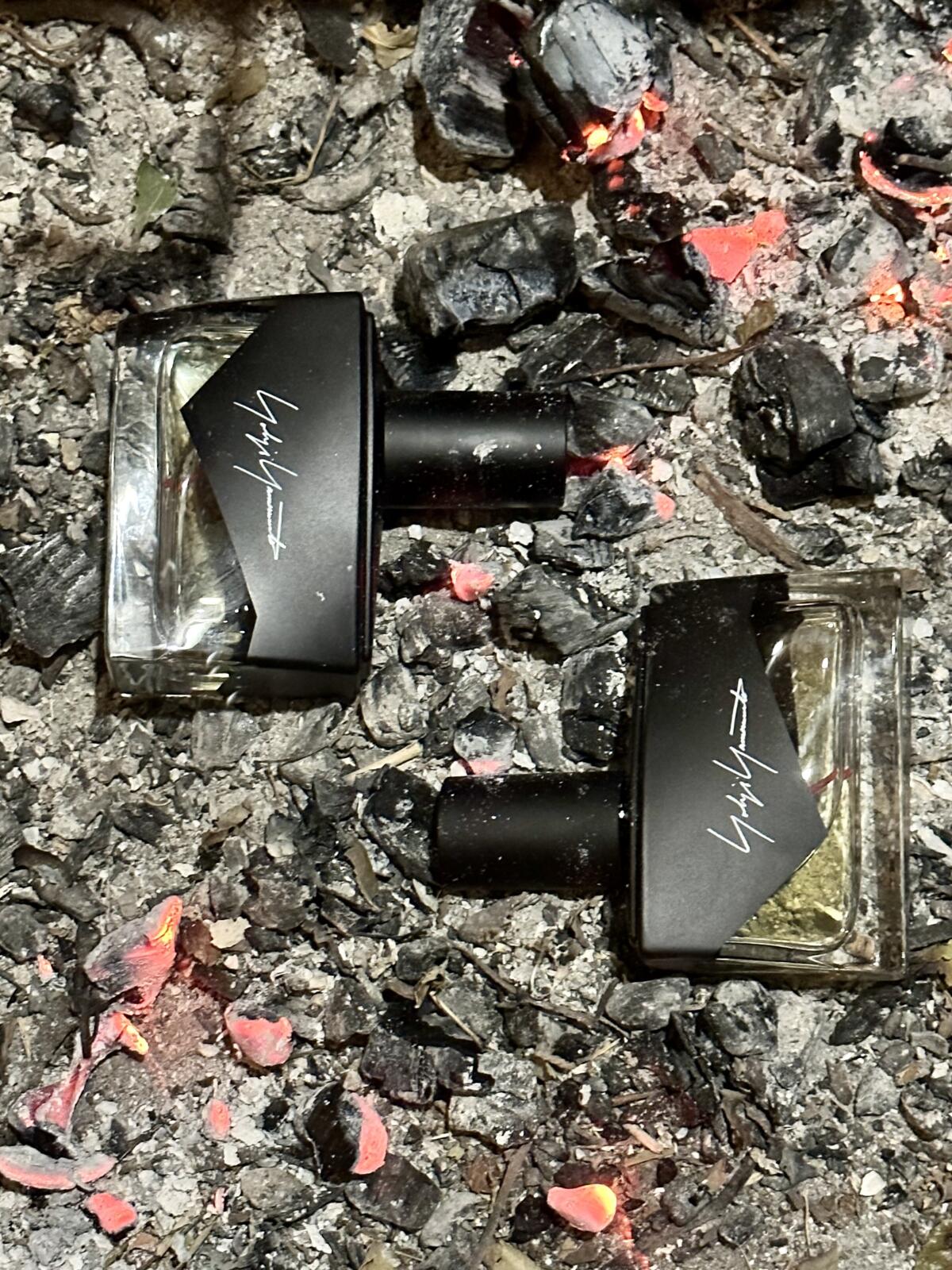 تصویر عطر آیم نات گوینگ تو دیستورب یو هوم یوجی یاماموتو