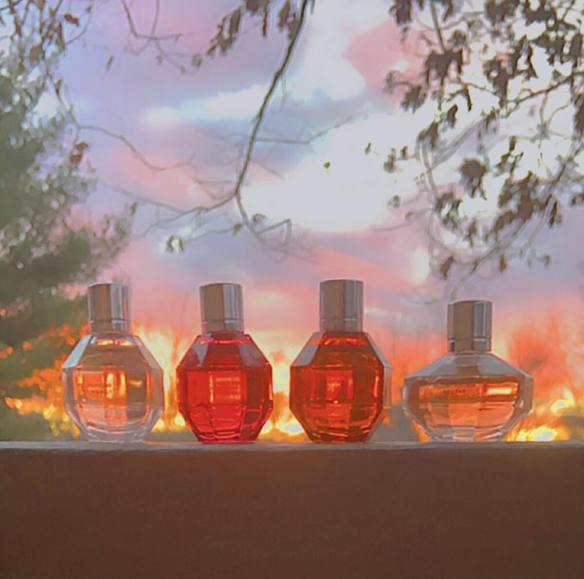 تصویر عطر فلاور بامب تایگر لیلی ویکتور اند رولف