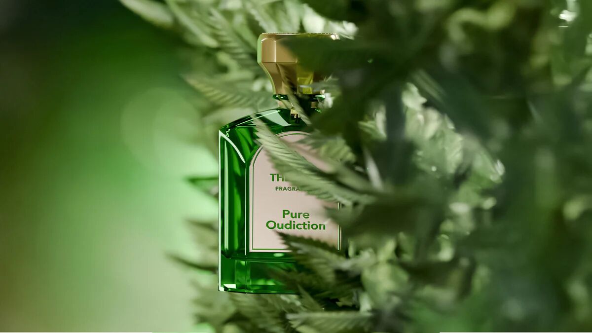 تصویر عطر پیور او دی دیکشن دِ گیت فرگرنسز پاریس