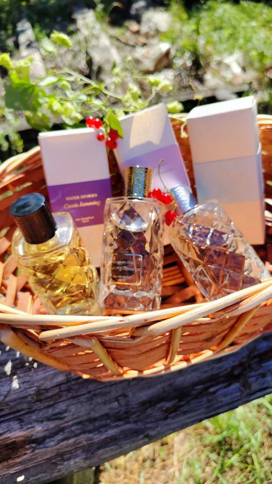 تصویر عطر بلاشینگ رومنس واتر استوریز