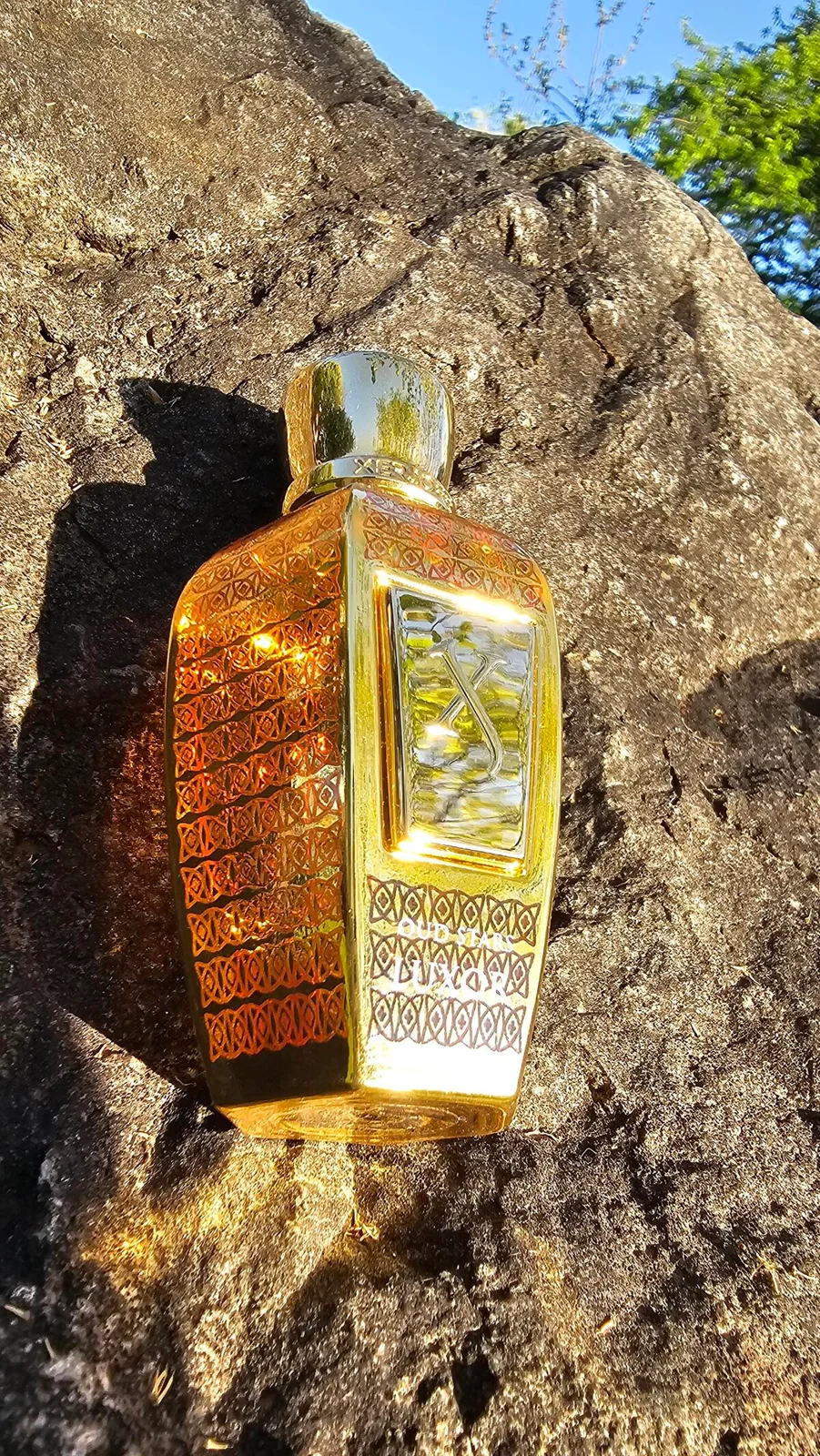 تصویر عطر لوکسور زرجوف