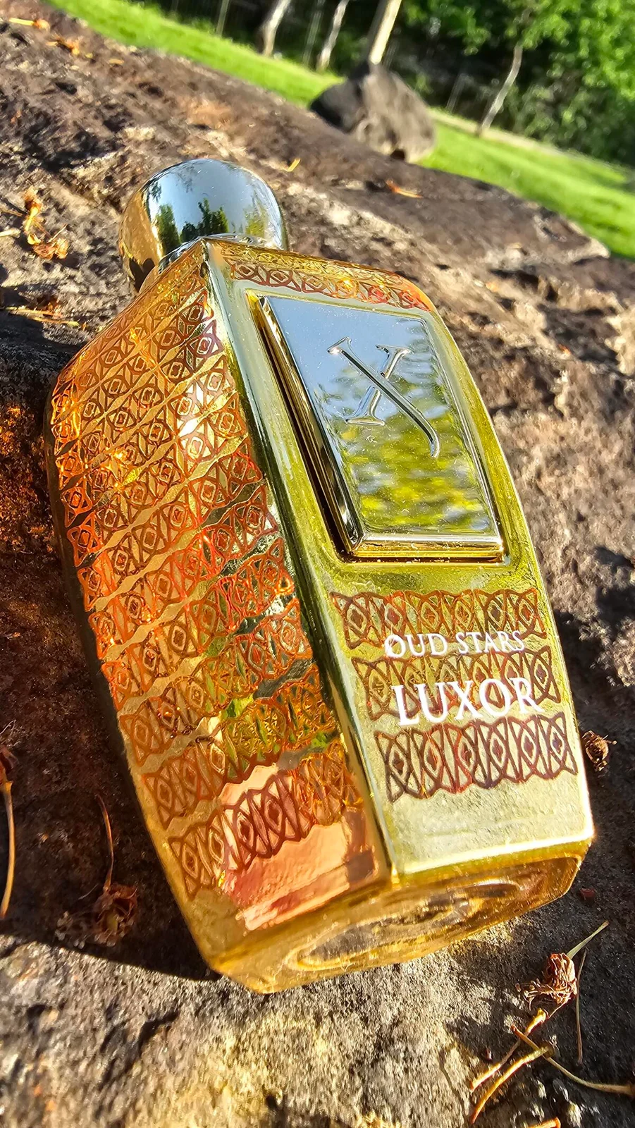تصویر عطر لوکسور زرجوف