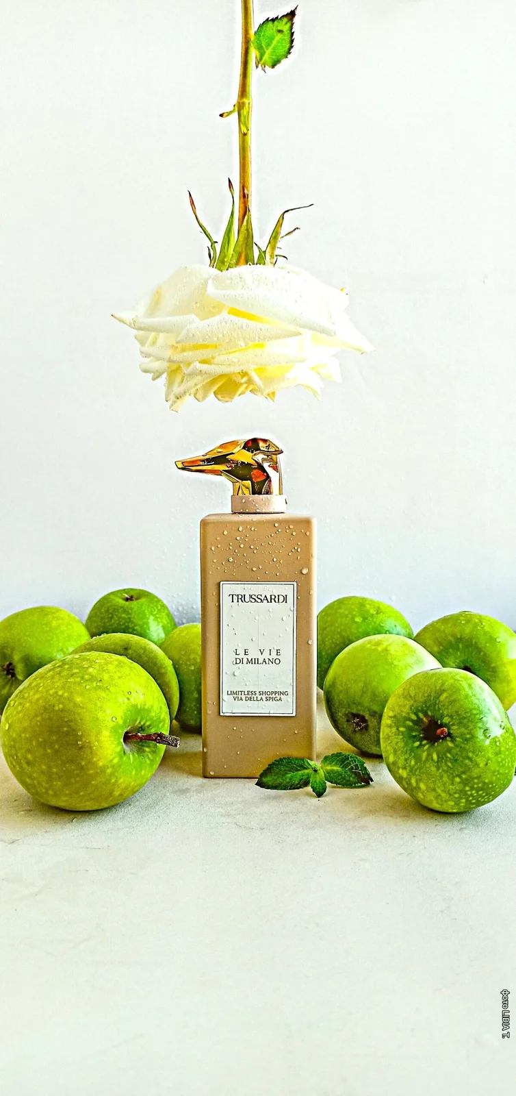 تصویر عطر لیمیتلس شاپینگ ویا دلا اسپیگا تروساردی