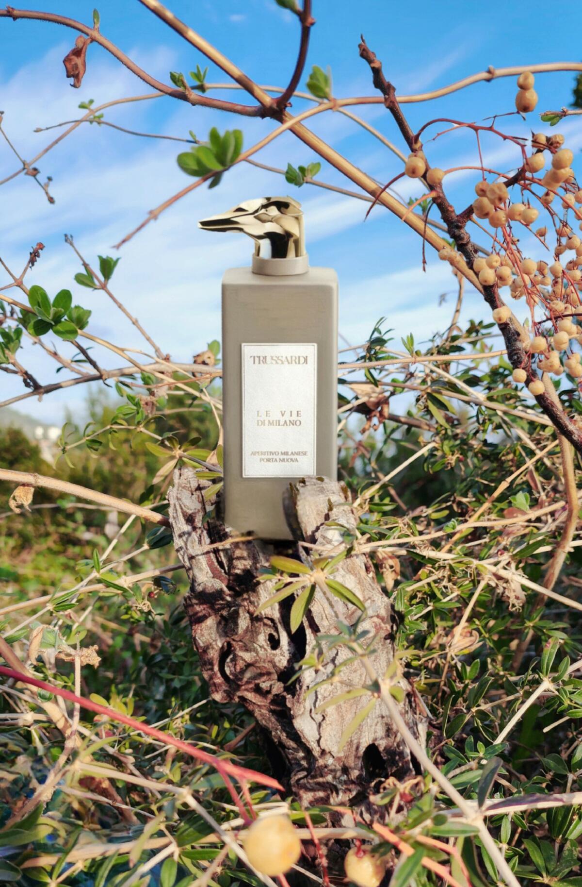 تصویر عطر لیمیتلس شاپینگ ویا دلا اسپیگا تروساردی