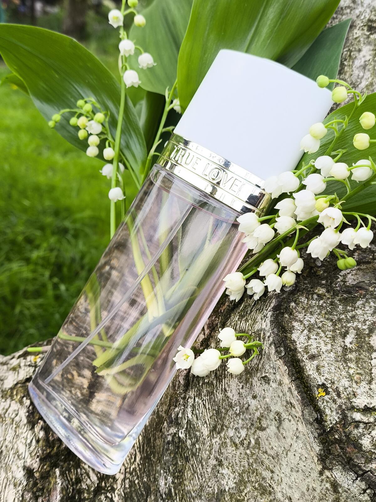 تصویر عطر ترو لاو الیزابت آردن