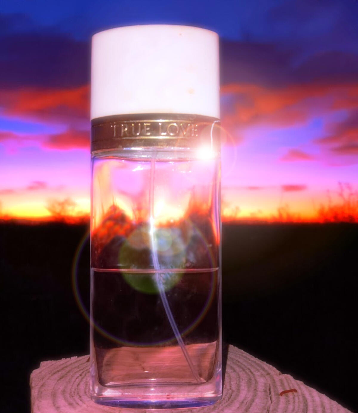تصویر عطر ترو لاو الیزابت آردن