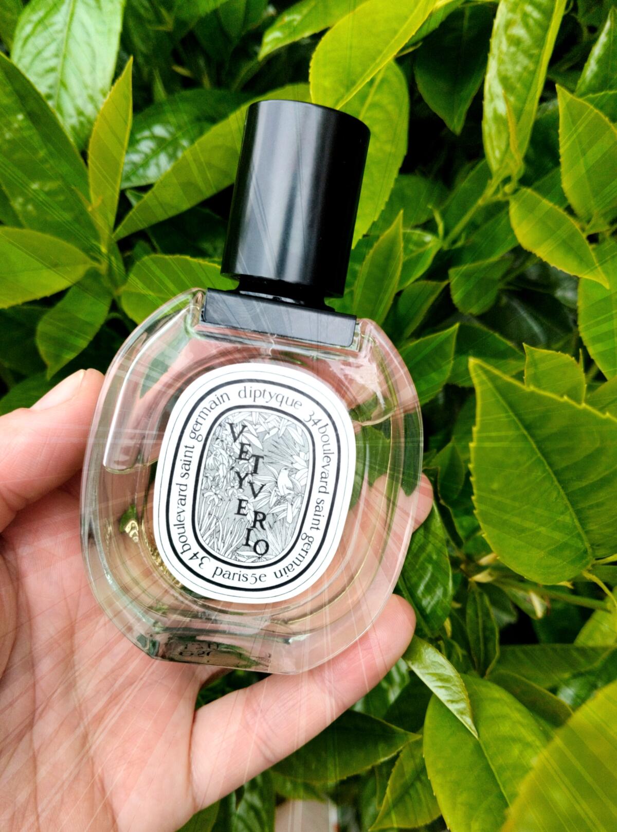 تصویر عطر وتیوریا او دو تویلت دیپتیک