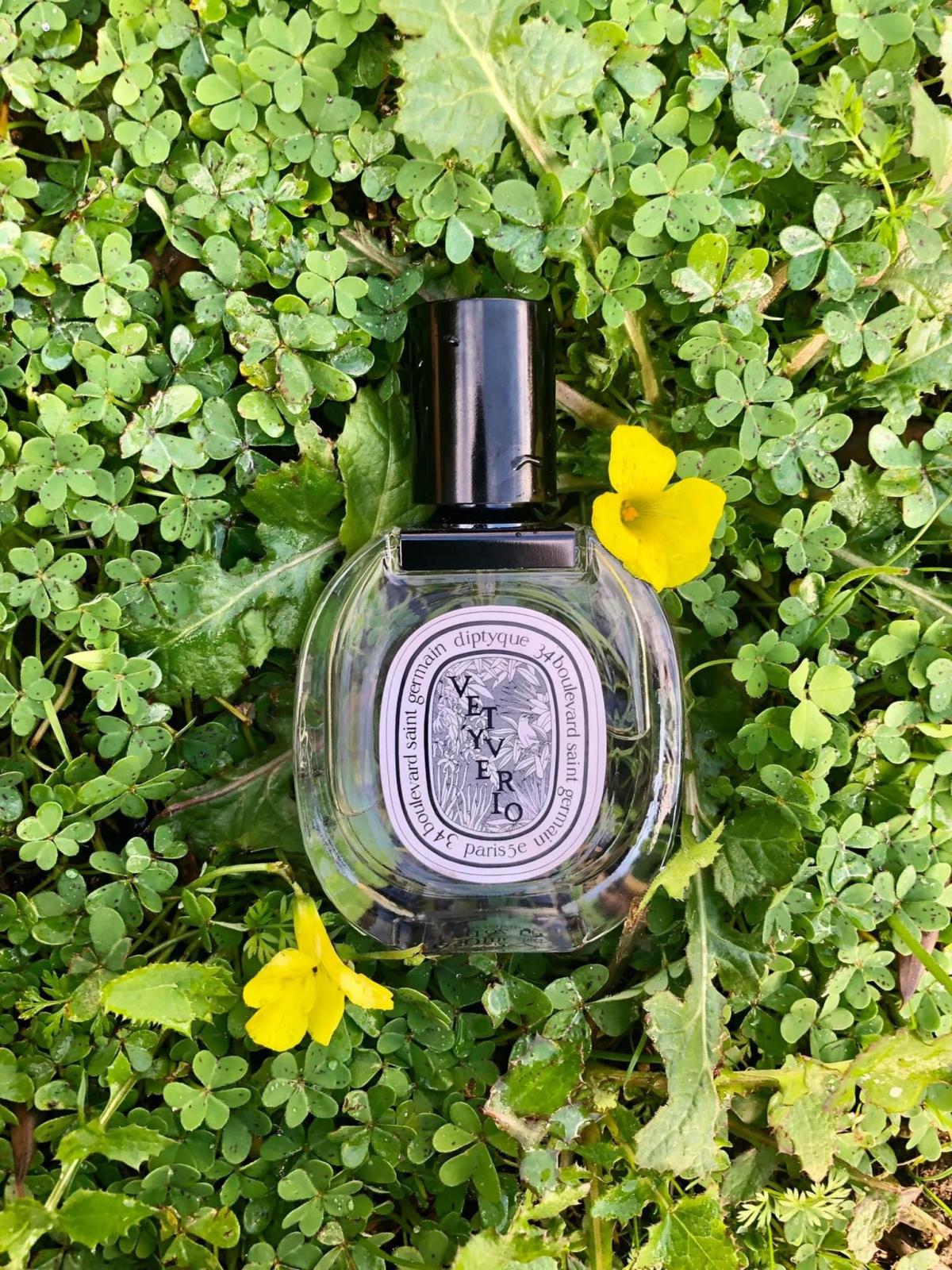 تصویر عطر وتیوریا او دو تویلت دیپتیک