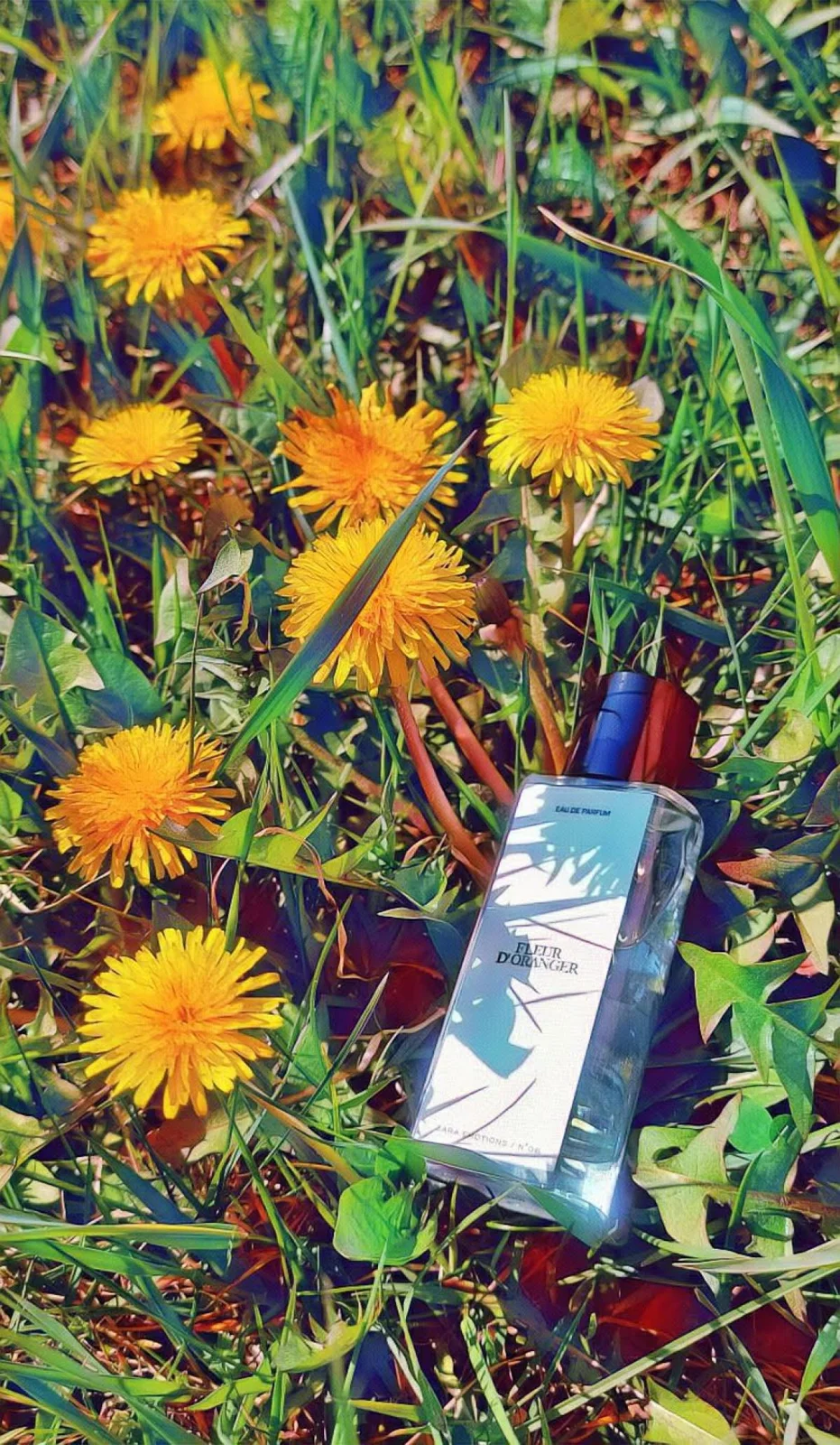 تصویر عطر فلردورانژه زارا