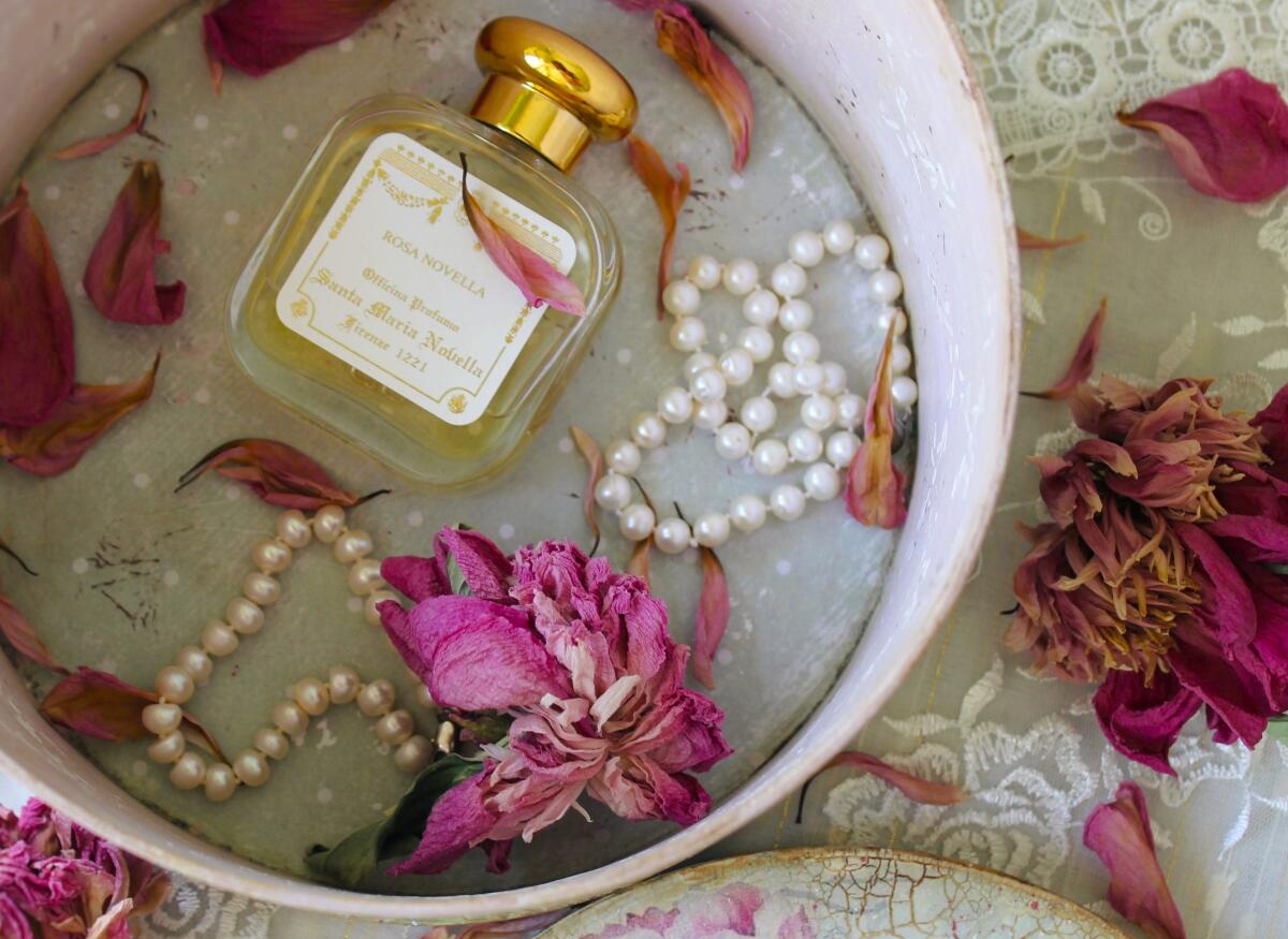 تصویر عطر رزا نوولا سانتا ماریا نوولا