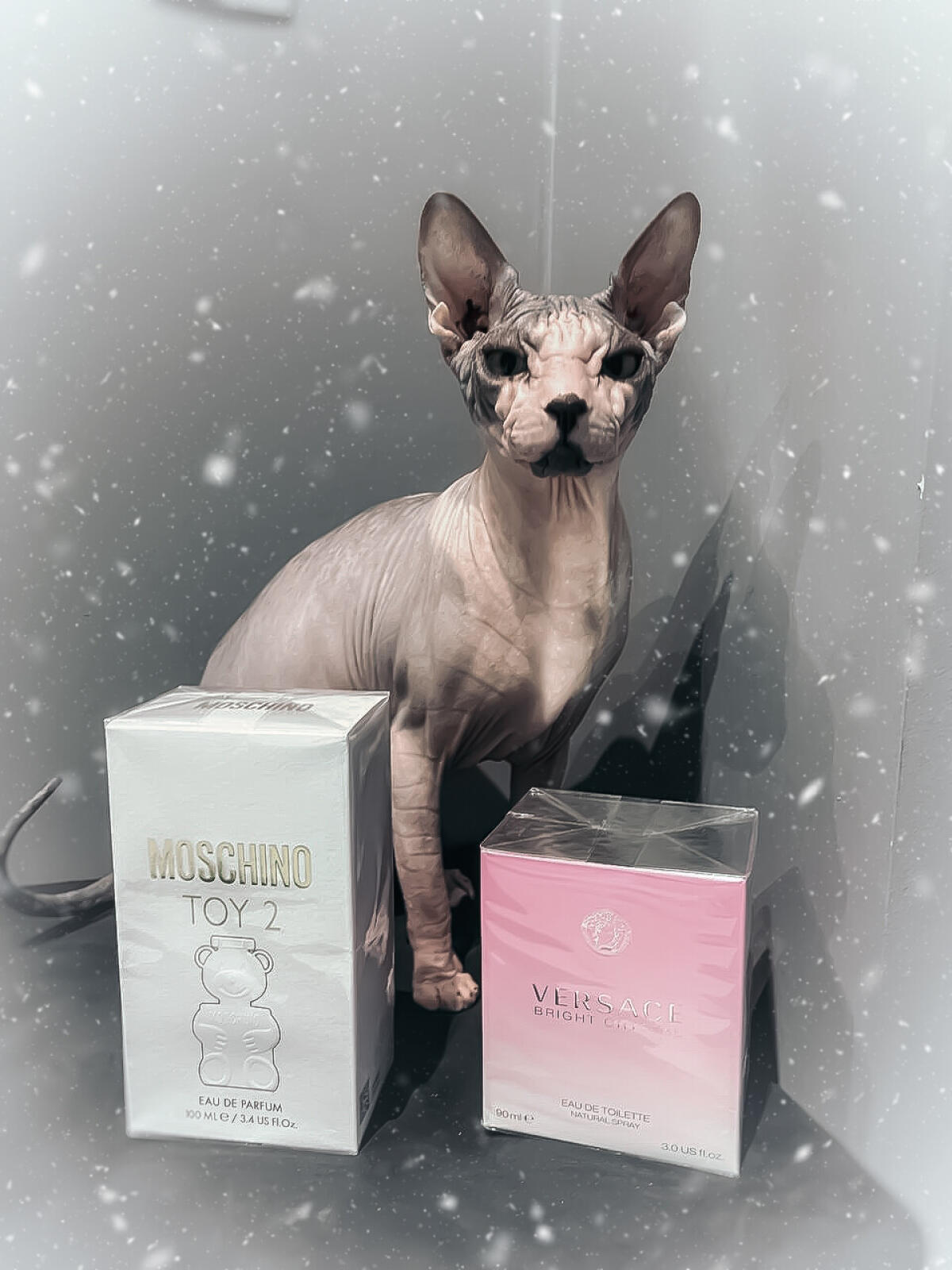 تصویر عطر برایت کریستال ورساچه