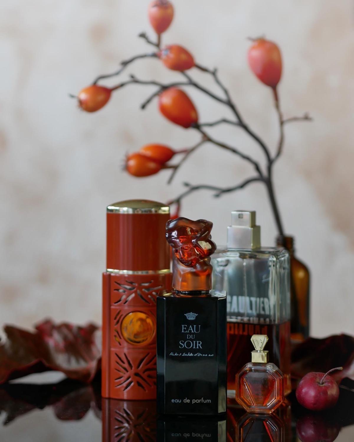 تصویر عطر اُ دو سوآر دوهزار و هشت سیزلی