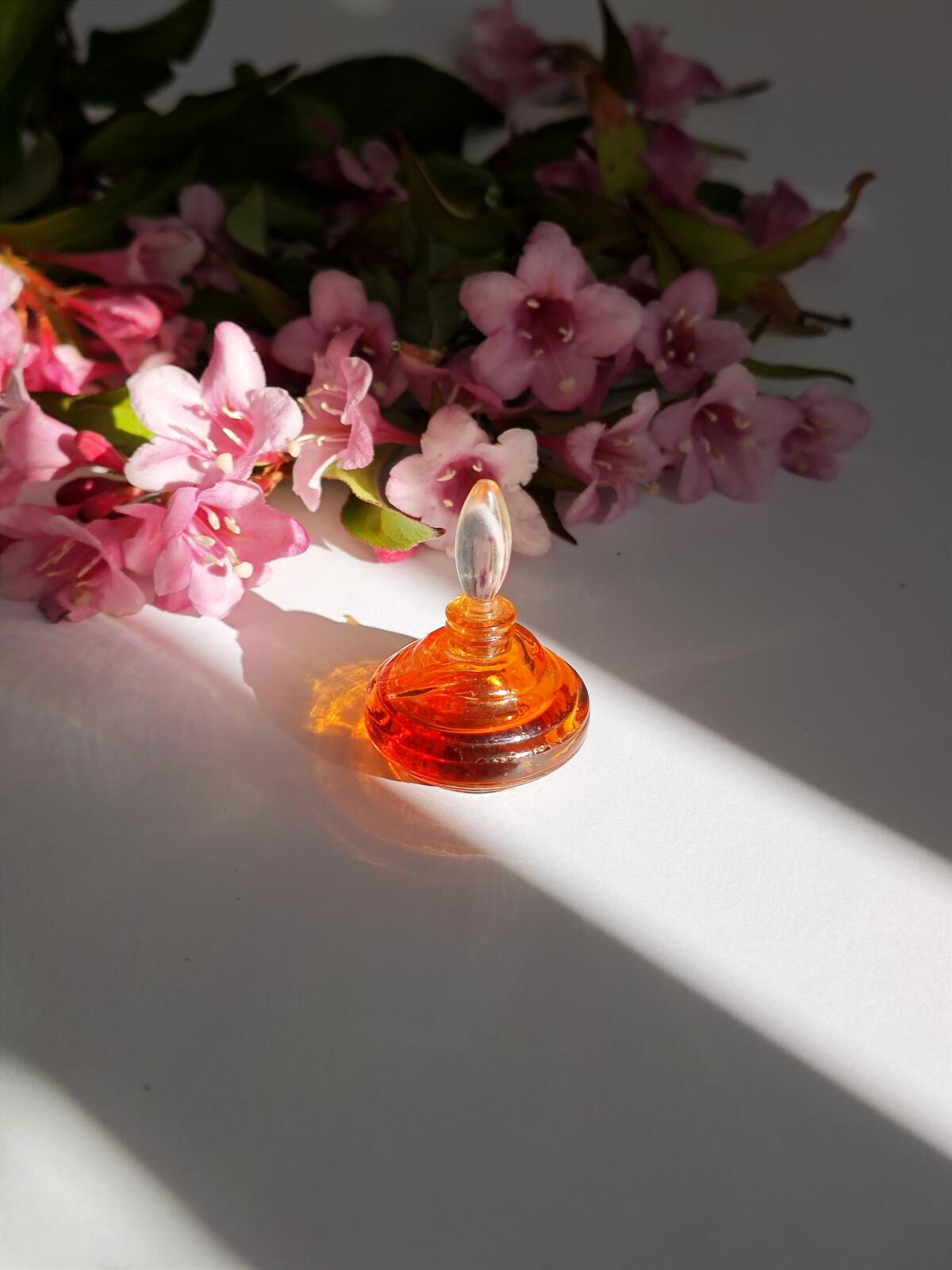 تصویر عطر فنتسم تد لاپیدوس