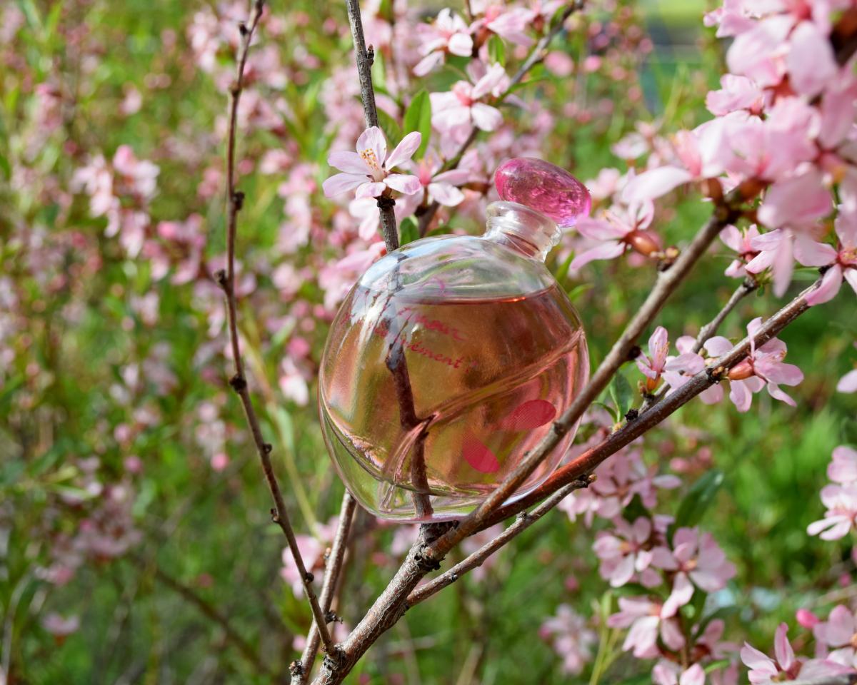 تصویر عطر اُدِ اَ لَموغ پَسُنمون ایو روشه