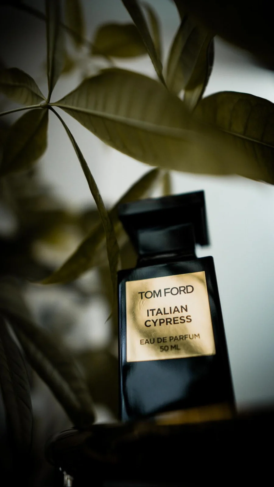 تصویر عطر ایتالیان سایپرس تام فورد