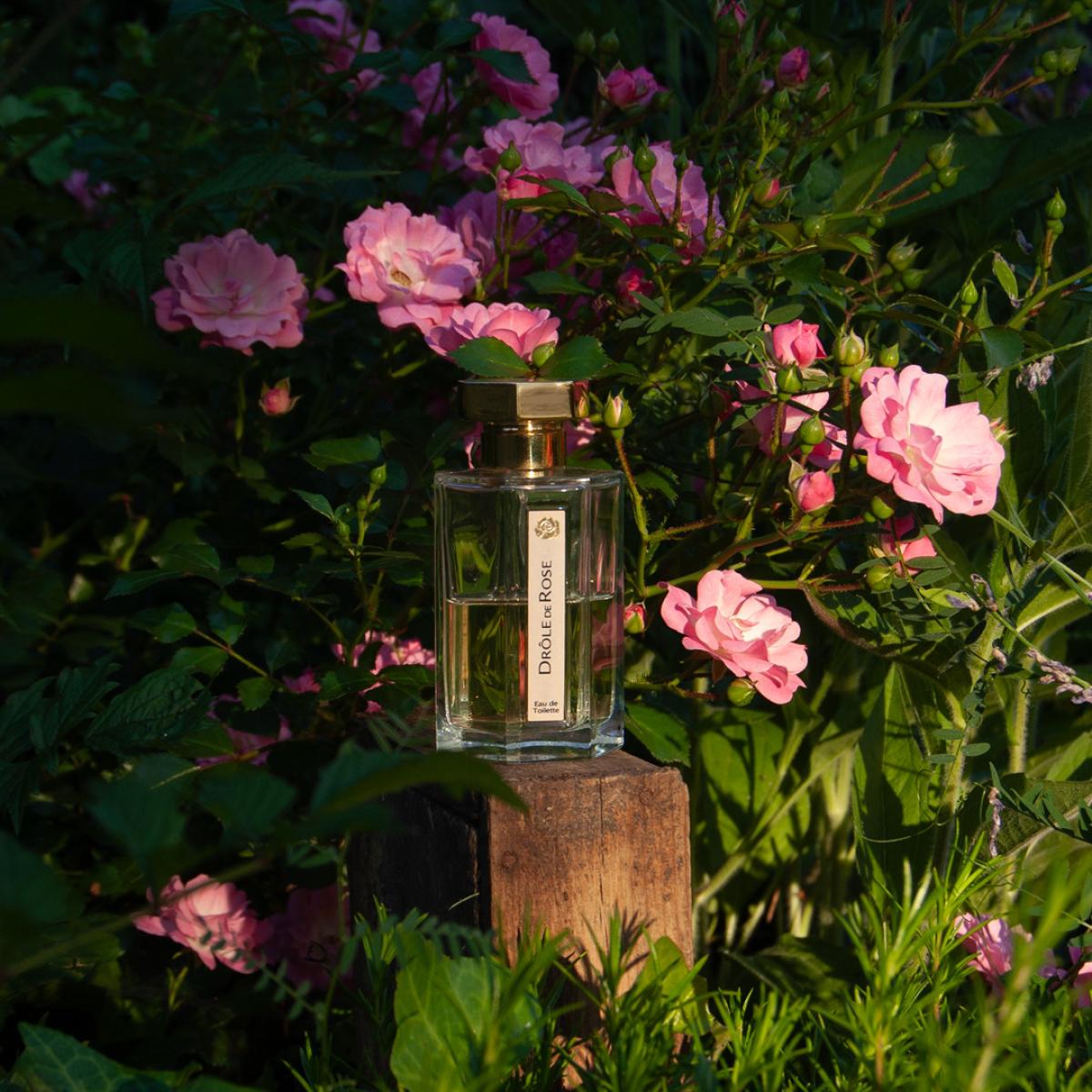 تصویر عطر دغول دُ روز لارتیزان پرفیومر