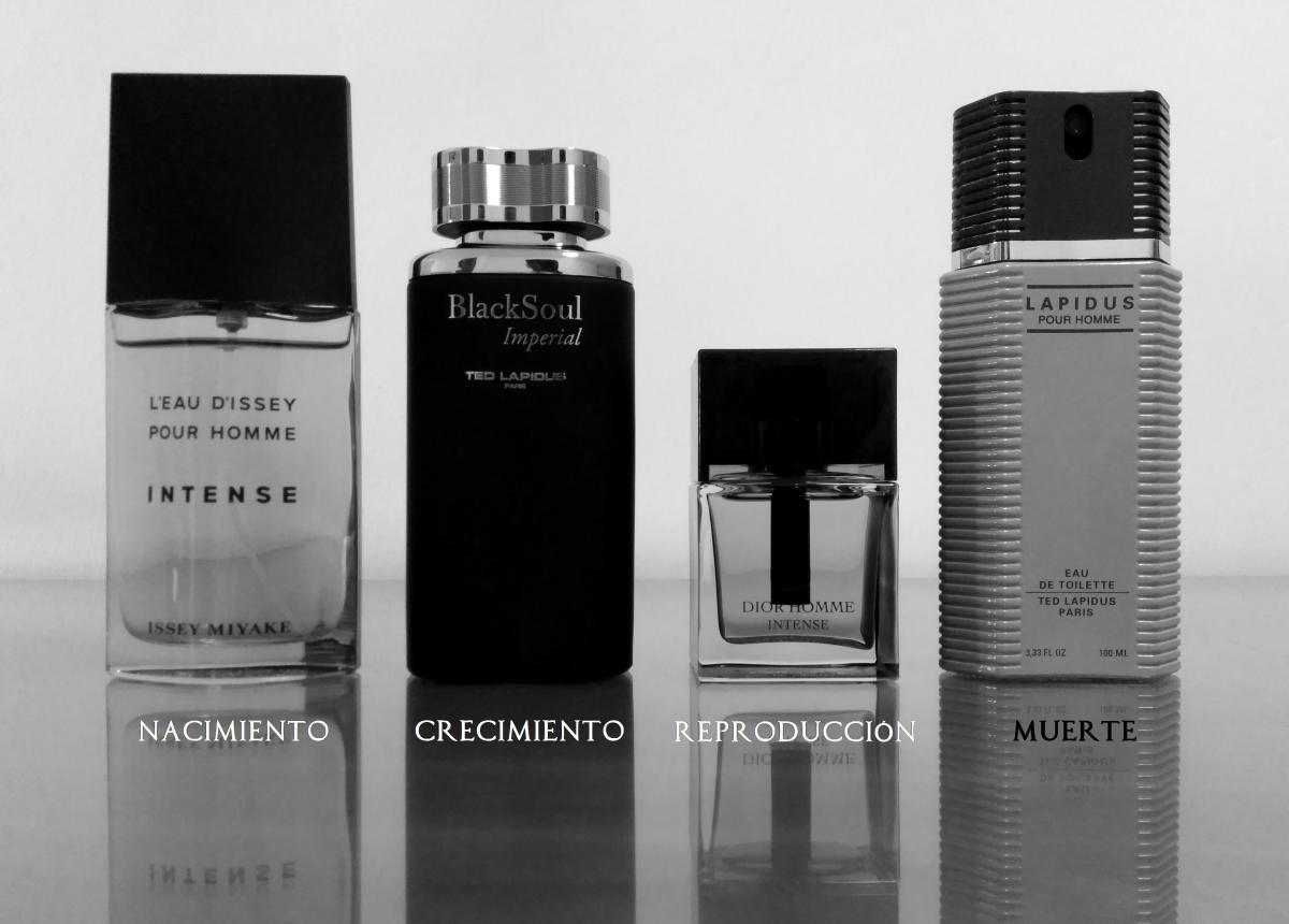 تصویر عطر بلک سول ایمپریال تد لاپیدوس
