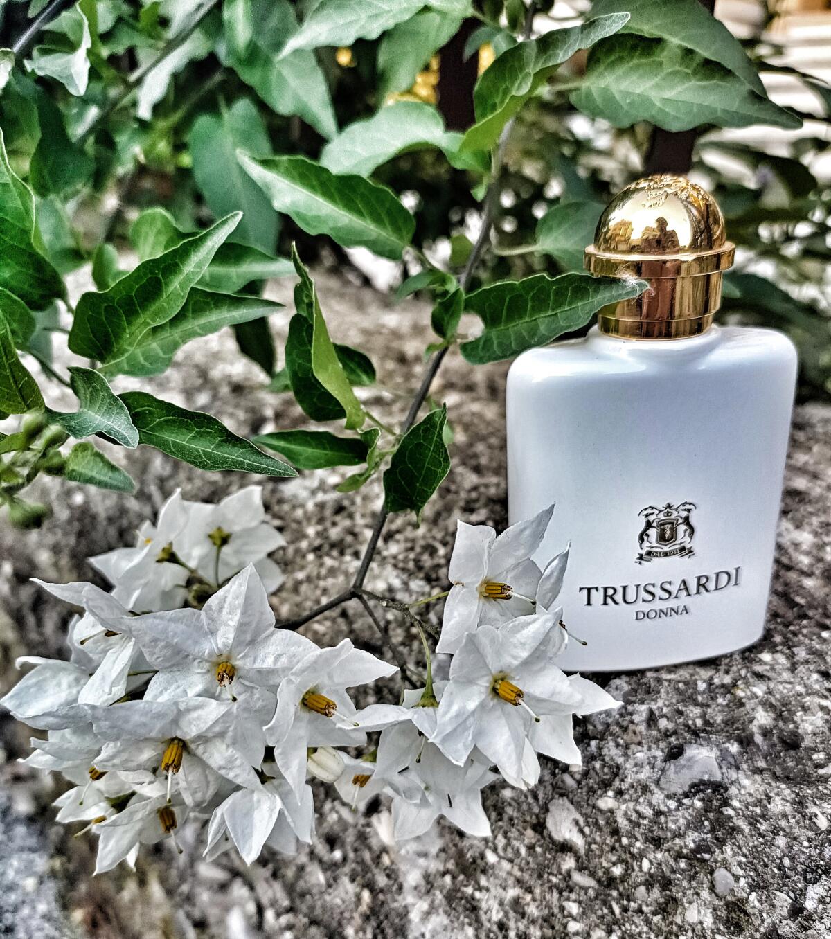 تصویر عطر ترساردی دونا تروساردی