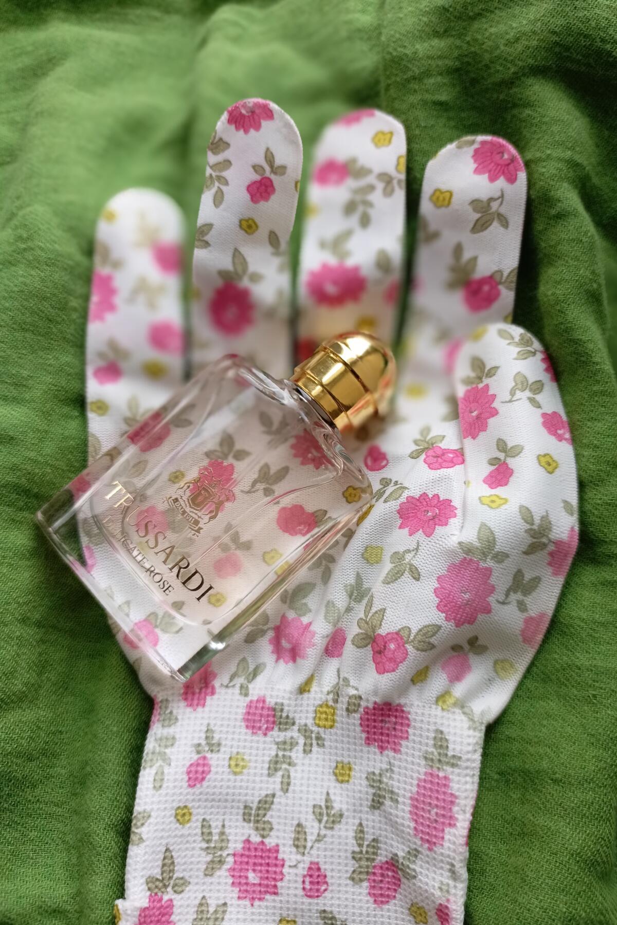 تصویر عطر ترساردی دلیکیت رز تروساردی