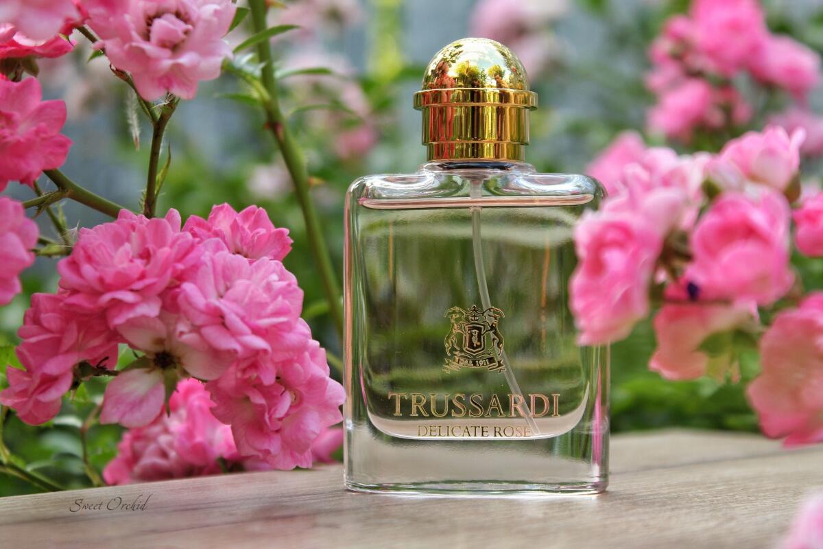 تصویر عطر ترساردی دلیکیت رز تروساردی