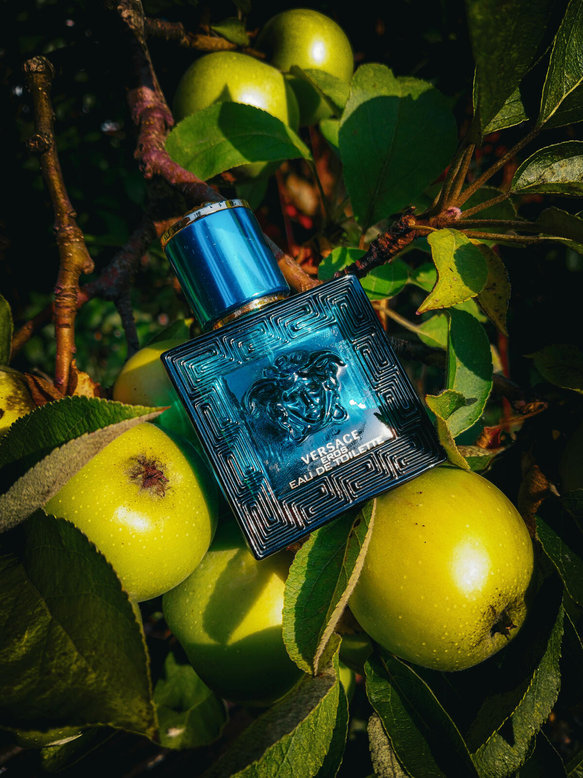 تصویر عطر ایروس ورساچه