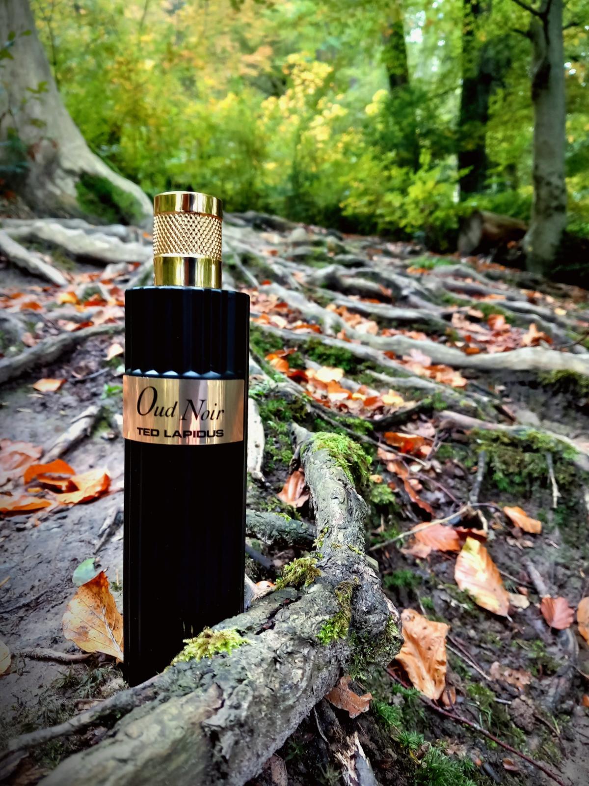 تصویر عطر اود نوار تد لاپیدوس